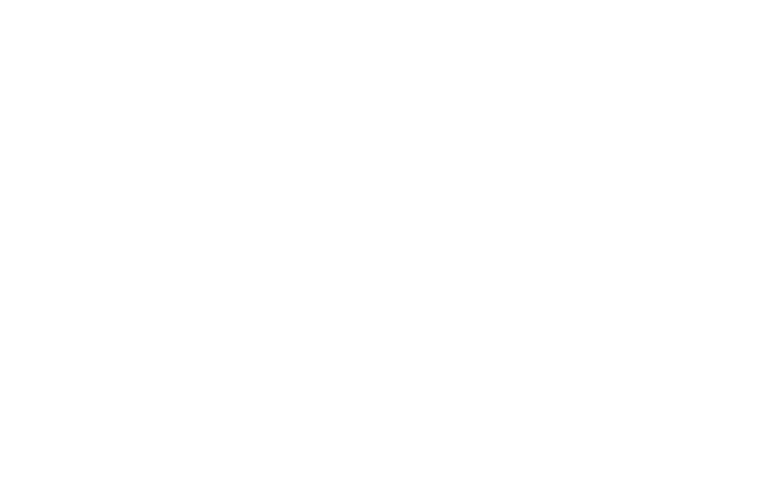 The Wedding Entertainment Company